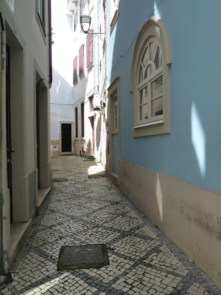 Judiaria nova